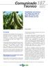 Viabilidade econômica da cultura da soja na safra 2013/2014, em Mato Grosso do Sul