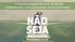 Você já tomou uma decisão com pressa e depois se arrependeu? Você costuma agir com precipitação? Como evitar a precipitação?