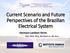 Current Scenario and Future Perspectives of the Brazilian Electrical System