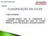 Cirurgião-plástico que se compromete a embelezar o paciente por meio de cirurgia plástica, porém não alcança o resultado proposto.