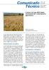 Comunicado Técnico. 84 ISSN Londrina, PR Fevereiro, Cultivar de trigo BRS Sabiá: características e desempenho agronômico