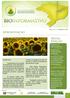 foto: sxc.hu e também um panorama do cultivo de mamona no contexto da produção de biocombustível no país.