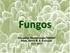 Fungos. Disciplina: Microbiologia Profa. Nelma R. S. Bossolan 14/11/2017