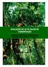 LISTA DE SIGLAS. Áreas de Alto Valor de Conservação Unidade de Negócios Florestais Alto Valor de Conservação Forest Stewardship Council