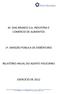 M. DIAS BRANCO S.A. INDÚSTRIA E COMÉRCIO DE ALIMENTOS 1ª. EMISSÃO PÚBLICA DE DEBÊNTURES RELATÓRIO ANUAL DO AGENTE FIDUCIÁRIO EXERCÍCIO DE 2012