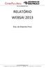 RELATÓRIO WEBSAI 2013
