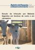 Estudo da infecção por Babesia bigemina em bovinos de corte e em carrapatos