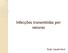 Infecções transmitidas por vetores. Profa. Claudia Vitral