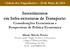 Investimentos em Infra-estruturas de Transporte: Considerações Económicas e Perspectivas de Politica Económica