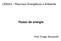 LEB244 Recursos Energéticos e Ambiente. Fluxos de energia. Prof. Thiago Romanelli