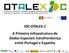 IDE-OTALEX C A Primeira Infraestrutura de Dados Espaciais transfronteiriça entre Portugal e Espanha
