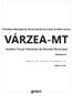 VÁRZEA-MT. Auditor Fiscal Tributário da Receita Municipal. Volume I. Prefeitura Municipal de Várzea Grande do Estado de Mato Grosso