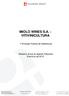 MIOLO WINES S.A. - VITIVINICULTURA. 1ª Emissão Pública de Debêntures