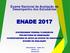 Exame Nacional de Avaliação de Desempenho dos Estudantes ENADE 2017