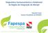 Diagnóstico Socioeconômico e Ambiental da Região de Integração do Marajó. Eduardo Costa Diretor-Presidente da FAPESPA