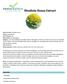 Rhodiola Rosea Extract