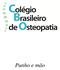 1 INTRODUÇÃO ANATOMIA Ossos Rádio Ulna Punho e da mão Sistema Ligamentar...