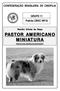 CONFEDERAÇÃO BRASILEIRA DE CINOFILIA. GRUPO 11 Padrão CBKC NR18. Padrão Oficial da Raça PAST AMERICANO (MINIATURE AMERICAN SHEPHERD)