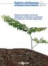 ISSN Agosto, Desenvolvimento inicial da amburana (Amburana cearensis) em áreas de Cerrado degradado