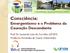 Consciência: Emergentismo e o Problema da Causação Descendente. Prof. Dr. Leonardo Lana de Carvalho (UFVJM) Frederico Fernandes de Castro (Mestrando)