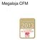 Promoções da Megaloja e sua relação com o Megaleilão CFM 2013