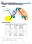 Laboratório Configuração do OSPFv2 Multiárea