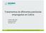 Tratamentos de diferentes patoloxías empregados en Galicia. Ponente: Xulio López Empresa: ARUMIA Novembro 2008