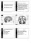 Fisiopatologia e anatomia. Monitorização das Principais Emergências Neurológicas. Profª Andrelisa V. Parra. Causas de alteração do estado mental