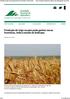 Produção de trigo no país pode ganhar novas fronteiras, indica estudo da Embrapa