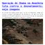 Operação do Ibama na Amazônia luta contra o desmatamento; veja imagens