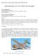 Análise Estrutural de Asa de VANT (Veículo Aéreo Não Tripulado)