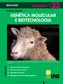 Genética molecular e biotecnologia