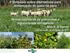 II Simpósio sobre alternativas para alimentação do gado na seca