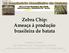 Zebra Chip: Ameaça à produção brasileira de batata