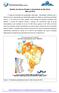 Boletim do Vale do Paraíba e Litoral Norte de São Paulo Maio de 2018