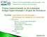 Professores: Instituto de Ciências Matemáticas e de Computação - USP Departamento de Sistemas de Computação