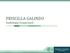 PRISCILLA GALINDO Audiologia Ocupacional. 12/03/2018 Programa de Conservação Auditiva