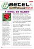 Hibiscus syriacus é um arbusto da família das malvaceaes, originária da Ásia, conhecida como a Rosa de Sarom. Suas características tocantes: