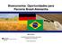 Bioeconomia: Oportunidades para Parceria Brasil-Alemanha Martin Nissen