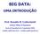 BIG DATA: UMA INTRODUÇÃO. Prof. Ronaldo R. Goldschmidt