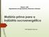 ESALQ / USP Departamento de Agroindústria, Alimentos e Nutrição Matéria prima para a indústria sucroenergética