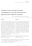 Educação, ciência, tecnologia e inovação: a implantação do Centro de Desenvolvimento Regional (CDR) na região da Campanha