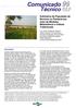 Estimativa da População de Bovinos no Pantanal por meio de Modelos Matemáticos e Índices Tradicionais
