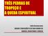 TRÊS PEDRAS DE TROPEÇO E A QUEDA ESPIRITUAL. Julio Damasceno QUEDA E EVOLUÇÃO À LUZ DAS OBRAS DE KARDEC, ROUSTAING E UBALDI