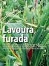 Capa. Lavoura furada