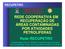 REDE COOPERATIVA EM RECUPERAÇÃO DE ÁREAS CONTAMINADAS POR ATIVIDADES PETROLÍFERAS Rede RECUPETRO