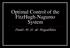 Optimal Control of the FitzHugh-Nagumo System. Paulo M. D. de Magalhães