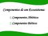 Componentes de um Ecossistema: 1) Componentes Abióticos 2) Componentes Bióticos