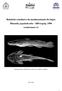 Relatório conclusivo do monitoramento do bagre Rhamdia jequitinhonha - Silfvergrip, 1996 (condicionante 21)