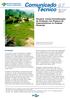 Pecuária Versus Diversificação da Produção nos Projetos de Assentamentos no Sudeste Paraense 1
